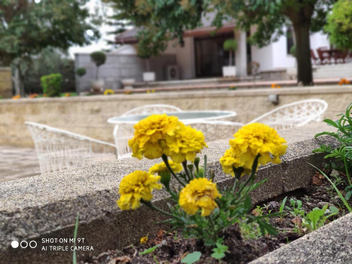 Villa Blanca Con Piscina A 15 Minutos De Toledo - Apartamentos Aloha Toledo Olias del Rey Bagian luar foto